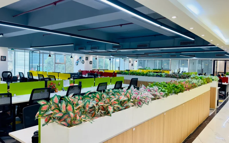 Premium Office Space Noida Sector 63