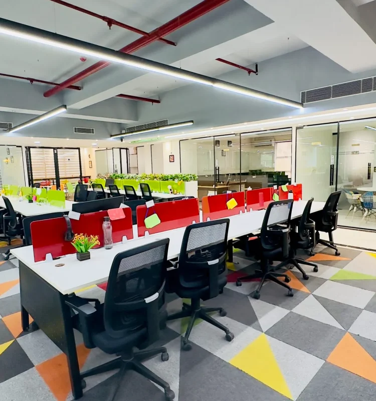 IMG_8303photo-full-scaled